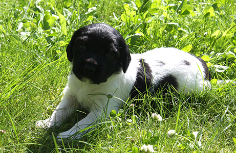 Jeida ensimmäistä kertaa ulkona